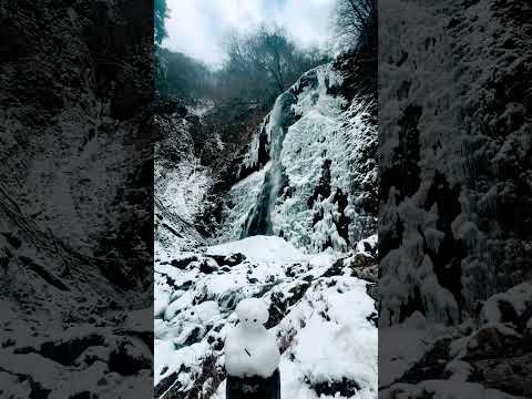 冬がはじまるよ【白猪の滝_愛媛県東温市河之内】