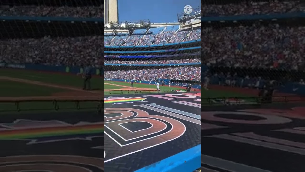 Blue Jays Game | Baseball fan | Lil buddy’s Wish