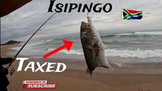 OFFROAD4LIFE, Fishing in River Mouth, Isipingo, Durban for Shad and Kingfish