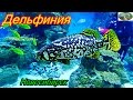 Дельфиния.Новосибирский дельфинарий.Подводное царство