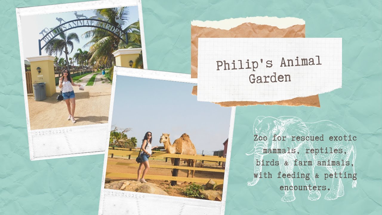 ⁣Local Tips: Philip's animal garden Aruba | Exotic Animals / Aruba Vlogs 2020 - Aruba Travel Gui