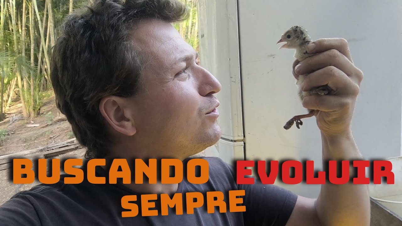 É TANTA NOVIDADE AQUI NO SÍTIO QUE NAO SEI NEM POR ONDE COMEÇAR EP-783