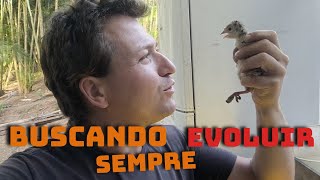 É TANTA NOVIDADE AQUI NO SÍTIO QUE NAO SEI NEM POR ONDE COMEÇAR EP-783