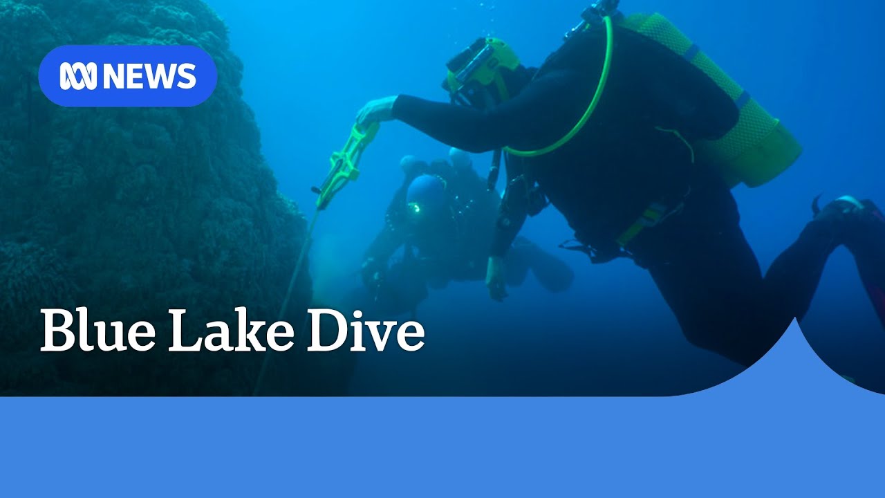 Rare dive into Mount Gambier’s Blue Lake in South Australia | ABC NEWS