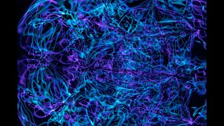 AI Just Learned to Dream Like Humans - Here's Why It Changes Everything