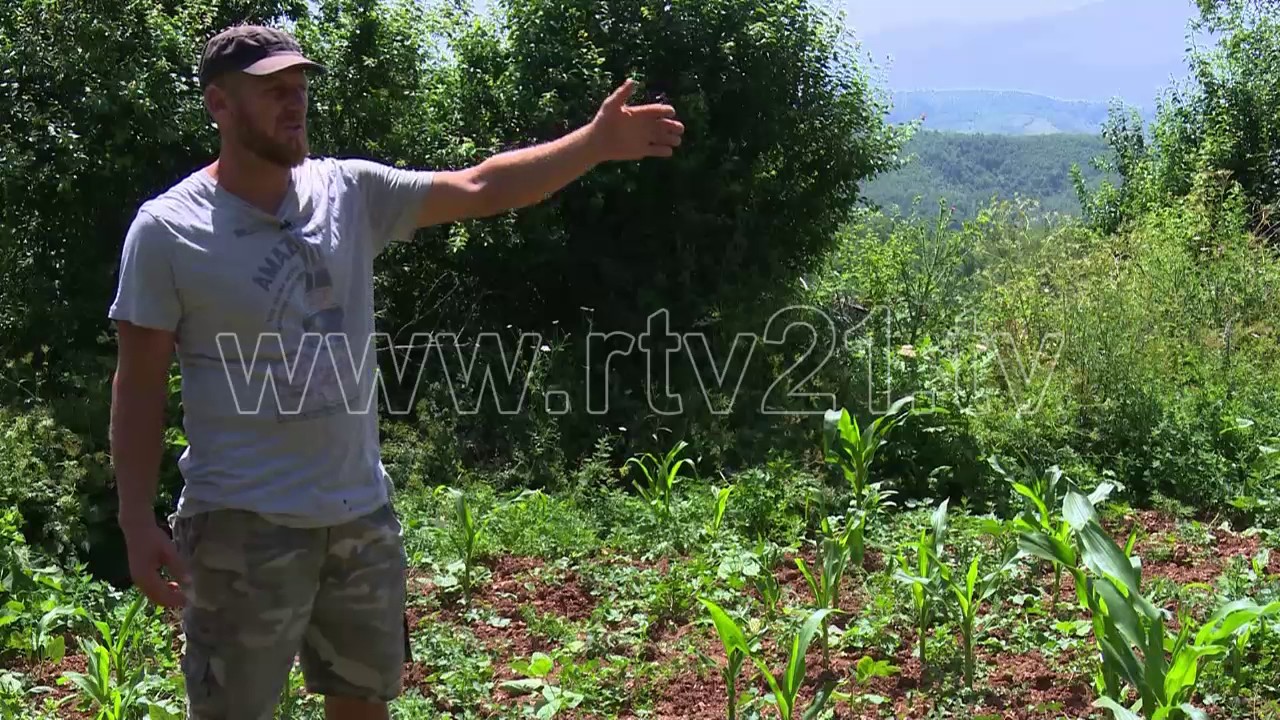 FSHATI MJAK 02 07 2017