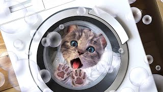 Little Kitten Preschool Adventure Educational Games Play Fun Cute Kitten Pet Care Learning Radugarog screenshot 4
