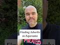 Finding Adverbs in #esperanto #conlang #languagelearning #grammar #lesson #learning #tips