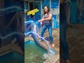 My pet is Hungry that's why she Fight me #amazing #funny #aigenerated #cute