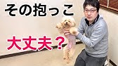 犬の正しい抱き方 抱っこの仕方 Youtube 犬の正しい抱き方 抱っこの仕方 Youtube