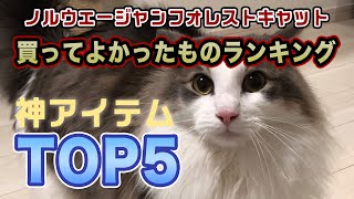 【ノルウェージャンフォレストキャット】買って後悔しない神アイテムTOP5