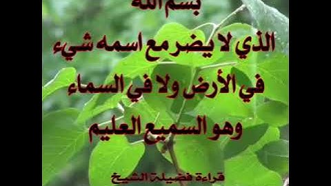 أذكار الصباح  للشيخ محمد البيطار