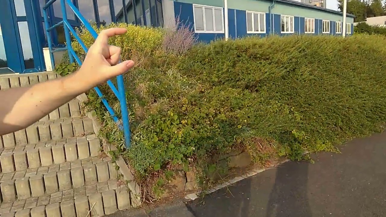 Horsovsky Tyn Чехия общежитие, возле Бор у Тахова, работа на складе Loxess