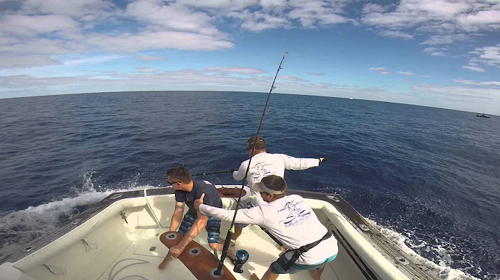 Marlin Jumps into boat and lands on crew.