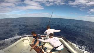 Marlin Jumps into boat and lands on crew.