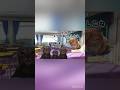 憧れの軽音部入った話③ #猫ミーム #猫マニ