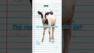 don't compare corn's water usage, to a.i's #shorts #facts #education