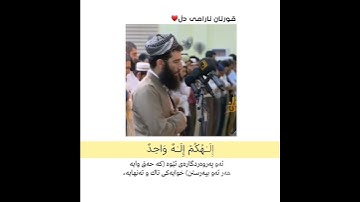 بەشێک لە سورەتی ' النحل ' بە سەوتی القارئ فؤاد كريم الكردي ✨