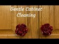 Gentle Cabinet Cleaning technique: The Nylon brush cleaning technique on trial.