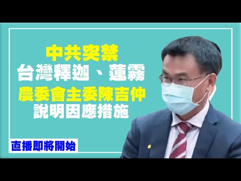 中共突禁台湾释迦、莲雾 农委会主委陈吉仲说明因应措施(2021/9/1 9)【 #新唐人直播 】