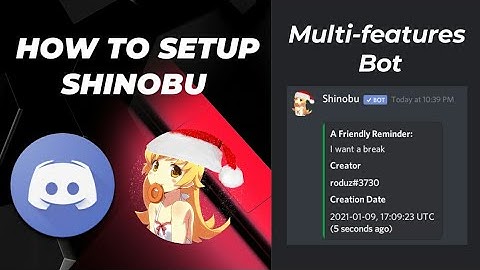 How to setup Shinobu bot discord very easily on your discord server | Multi-features