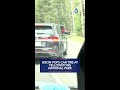 Bison pops Car tire at Yellowstone National Park