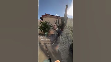 Window Cleaning #squeegee #windowcleaning