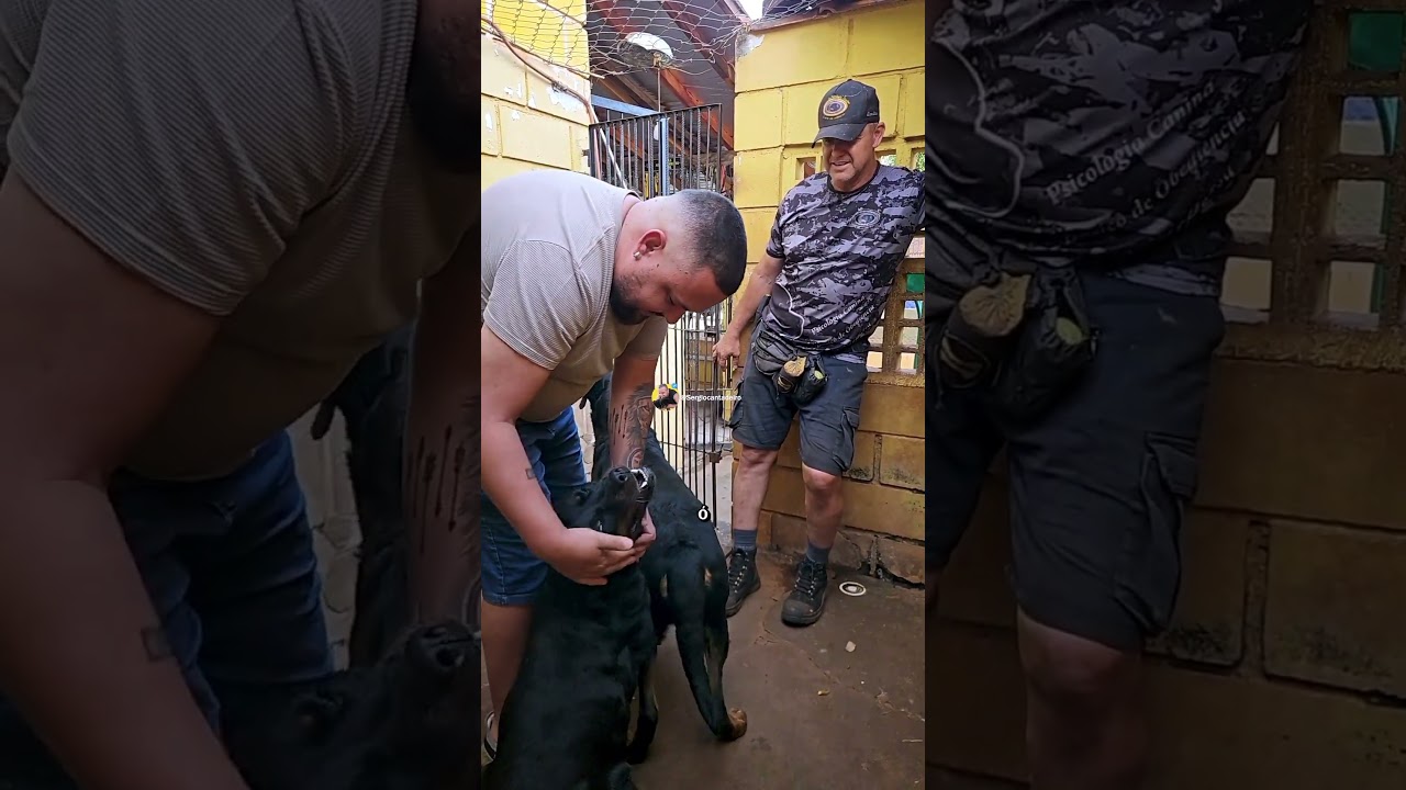 AMIZADE, LIDERANÇA E CONFIANÇA