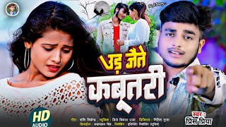 #उड़ जैते कबूतरी#Jakhmi jukebox sad song bewafai#Prince Priya ka naya gana#non stop 2026 ka Maithili