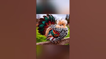 تلاوة عطرة {لسورة الإخلاص} مع فضيلة الشيخ عبد الباسط عبد الصمد رحمه الله.