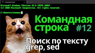 Командная строка - Урок 12 - Поиск по тексту с помощью regex, обработка текста - команды grep, sed