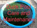 How to clean and maintain a backyard duck pool duck pond