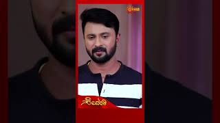 Sevanthi | Udaya TV #shorts Wealth