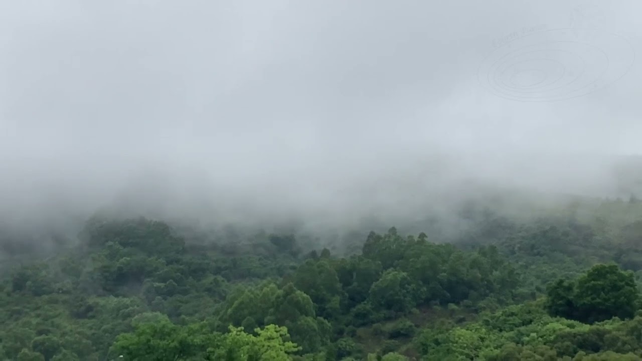 🌍 World Wander Snap | 🇭🇰 Tai Lam Tunnel Bus Interchange | Raining ☔️ | Hong Kong Walking tours