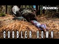 First Mississippi Longbeard | Spring Collective