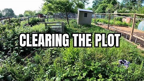 Day One On My First Allotment | Allotment For Beginners | Allotment Transformation
