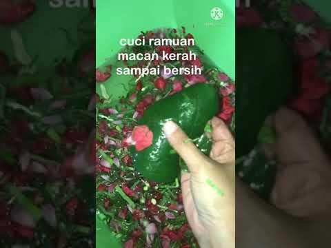 Resep Jamu Macan Kerah Untuk Ibu Hamil