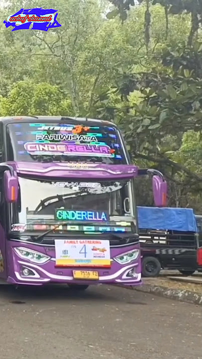 TELOLET BASURI CINDERELLA MSM FADEL #basuri #busmania #shorts #fyp