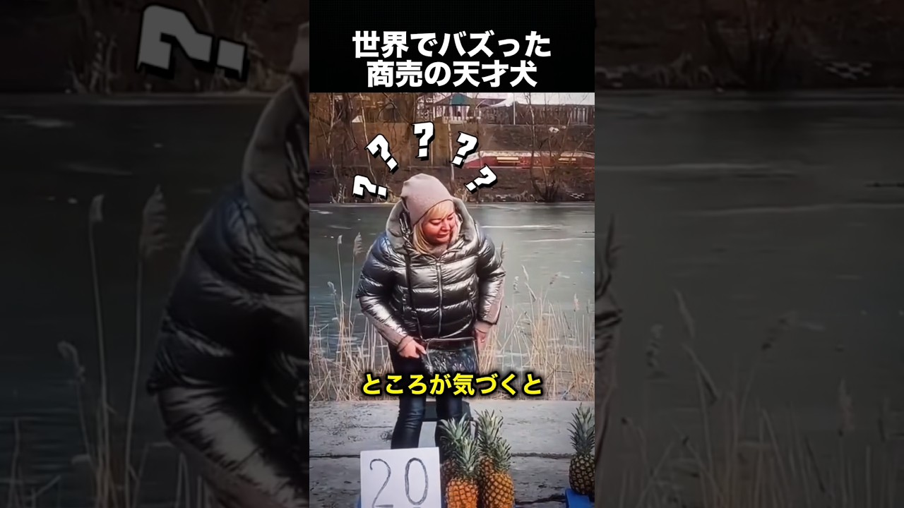 パイナップルを売る犬、その商売センスが天才すぎた！