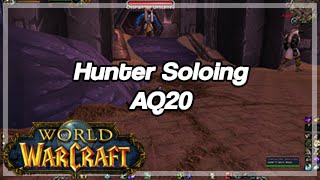 [World of Warcraft] Hunter Soloing AQ20, All Bosses