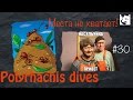 Полирахисы начали строить новые камеры // муравьи Polyrhachis Dives // #30