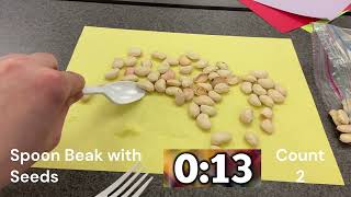 Bird Beak Lab