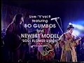 BO GUMBOS &amp; SOUL FLOWER UNION -LIVE- 夢の中