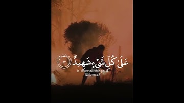 سنريهم آياتنا في الآفاق و في انفسهم
