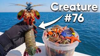 I Caught 100 Animals From The Ocean, Here's What Happened...