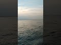 Megha River #viral #reels #viralshots