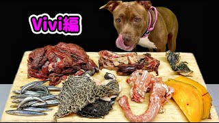 骨付き肉を一生懸命食べる7ヶ月のピットブルがかわいすぎる