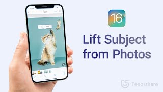 iOS 16 Photo Cutout: كيفية رفع الموضوع من الصور أو مقاطع الفيديو على iPhone / iPad