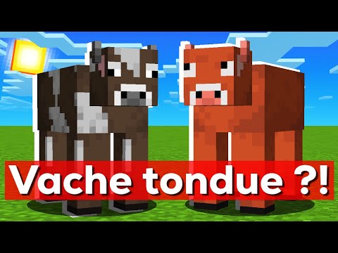 I'M TESTING THE WEIRDEST MINECRAFT MODS