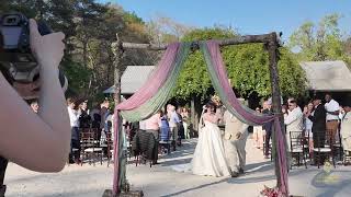 They Booked Me From Texas to DJ Their Alabama Wedding (Real Gig Log)